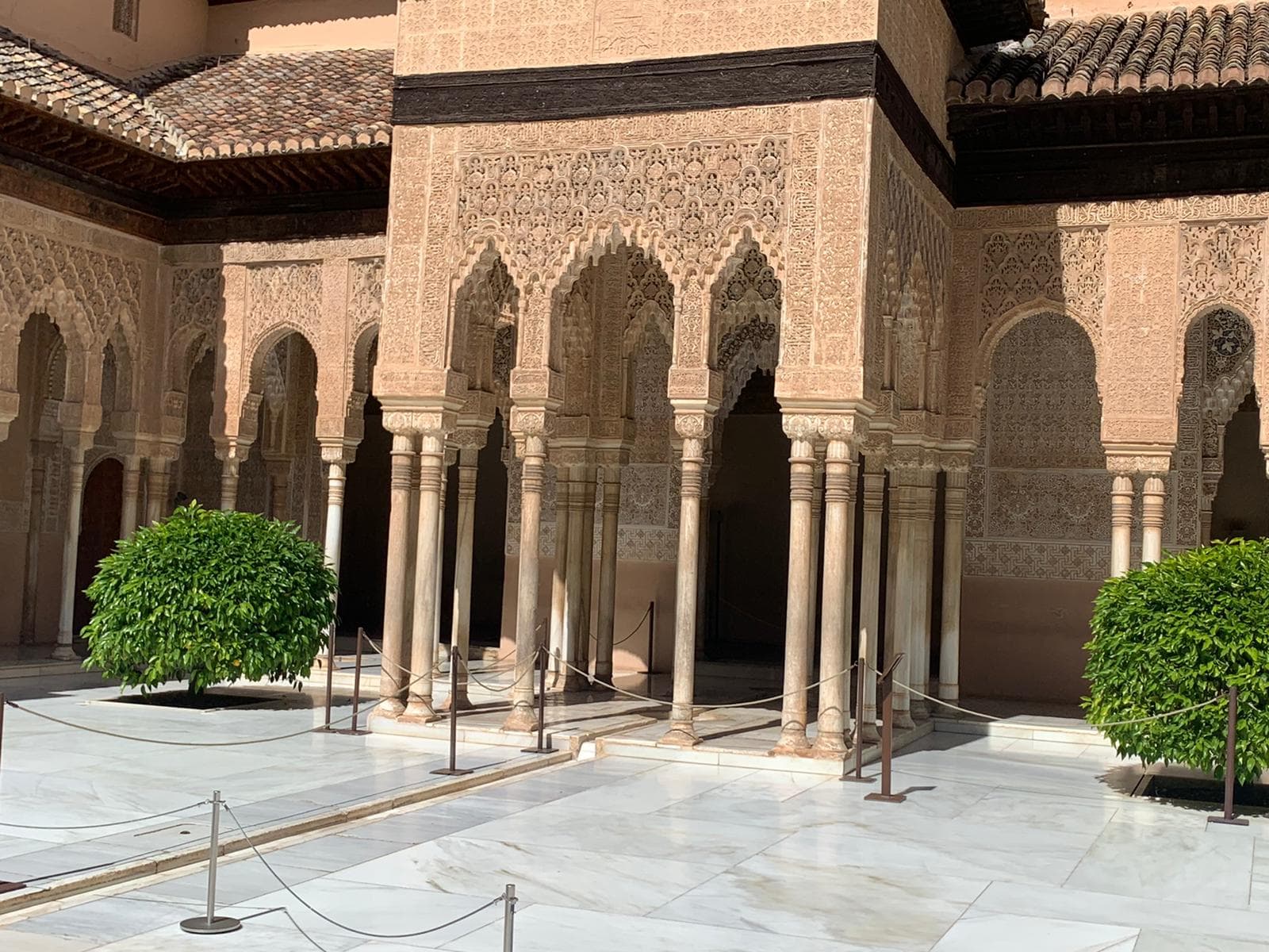 Alhambra guided tour with Nasrid palaces